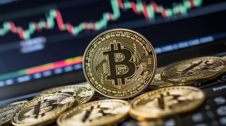 Cedarline Markdex: Is This Trading Platform a Game Changer or a Gamble?
